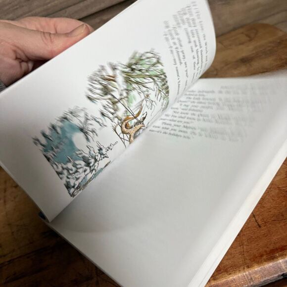 The Lion, the Witch and the Wardrobe by C.S. Lewis The Chronicles of Narnia Pape - Picture 4 of 9